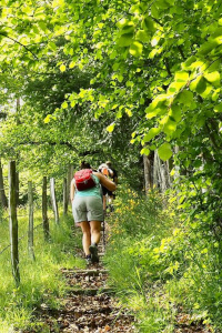 French course and countryside walks
