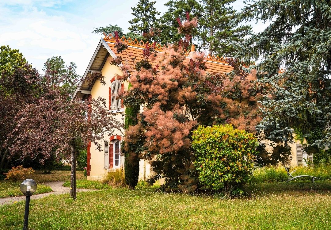 french-school-for-adult-in-france